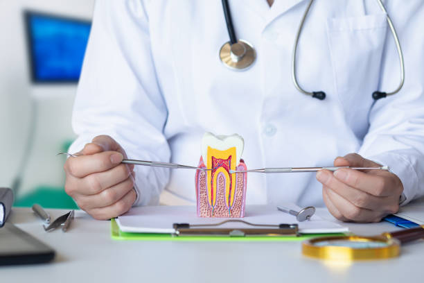 Best Root Canal Emergency Dentist  in Bing, OR